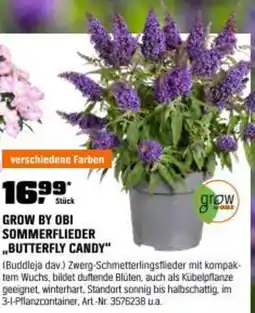 OBI Grow by obi sommerflieder butterfly candy Angebot