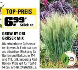 OBI Grow by obi gräser mix Angebot