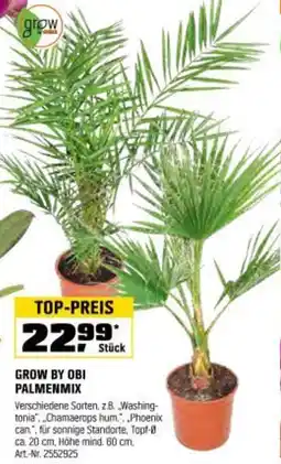 OBI Grow by obi palmenmix Angebot