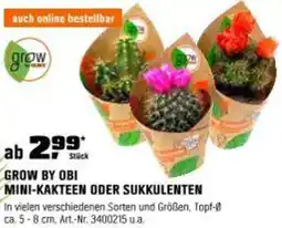 OBI Grow by obi mini-kakteen oder sukkulenten Angebot