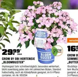 OBI Grow by obi hortensie buster bloombuster Angebot