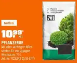 OBI Pflanzerde Angebot