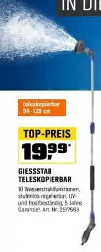 OBI Giessstab teleskopierbar Angebot