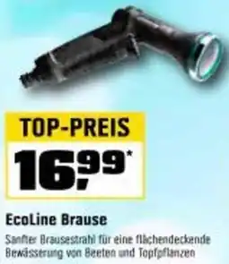 OBI EcoLine Brause Angebot