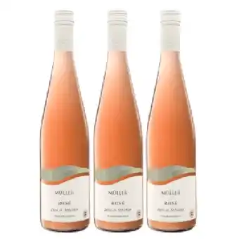 Lidl Rose Löss & Schotter Lidl Angebot