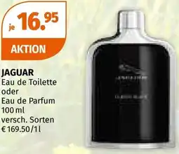 Müller Jaguar eau de toilette oder eau de parfum Angebot