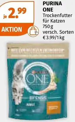 Müller Purina one trockenfutter für katzen Angebot