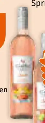 Müller Gallo Family Vineyards Spritz Angebot