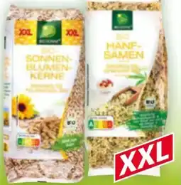 Norma Bio Sonne Bio-Sonnenblumenkerne Angebot