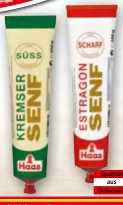 Norma Haas Senf Angebot