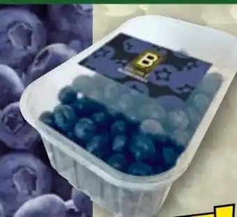 Norma Golden B Blueberries Premium Kultur-Heidelbeeren Angebot