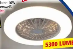 Norma Brilo LED Deckenleuchte Angebot