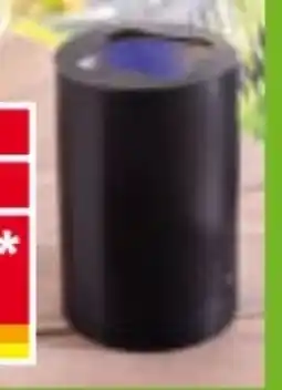 Norma Insekten-Klebfalle Mobil Angebot