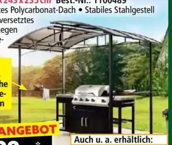 Norma HC Home & Living Grillpavillon Angebot