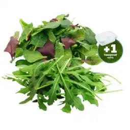 PENNY Pflücksalat od. Rucola jö Bonus Club Preis Penny Angebot