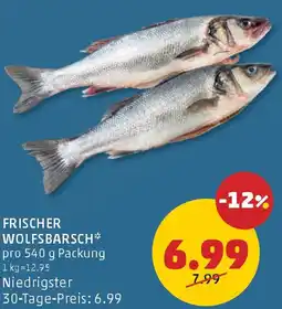 PENNY Frischer Wolfsbarsch Angebot