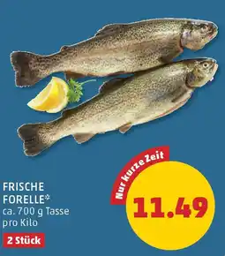 PENNY Frische Forelle Angebot