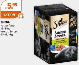 Müller Sheba katzenfutter Angebot