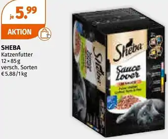 Müller Sheba katzenfutter Angebot