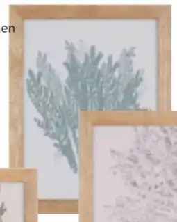 Mömax Bilderrahmen frido Angebot