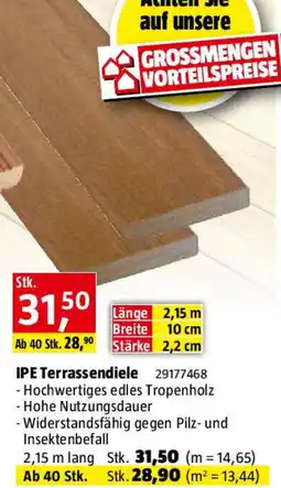 Bauhaus IPE Terrassendiele Angebot