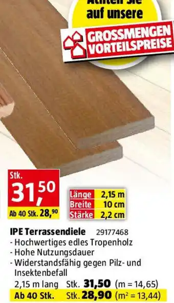 Bauhaus IPE Terrassendiele Angebot