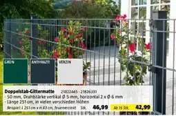 Bauhaus Doppelstab Gittermatte Angebot