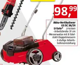 Bauhaus Einhell Power X-Change 18V Akku-Vertikutierer GC-SC 36/31 Li-Solo Angebot