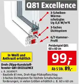 Bauhaus Dreh-/Kipp-Kunststoff fenster Q81 EXCELLENCE Angebot