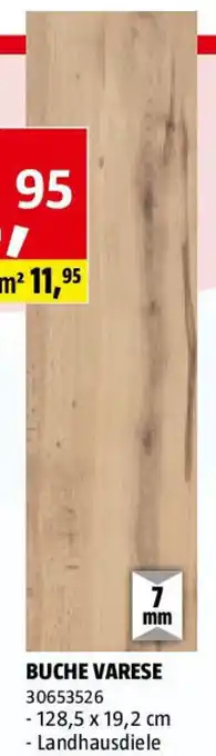 Bauhaus Buche varese Angebot