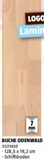 Bauhaus Buche odenwald Angebot