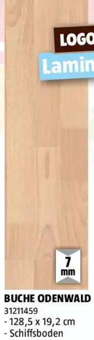 Bauhaus Buche odenwald Angebot
