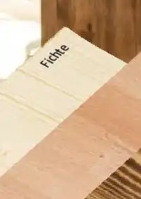 Bauhaus Fichte exclusiv Angebot