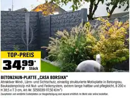 OBI Betonzaun-platte casa borsika Angebot