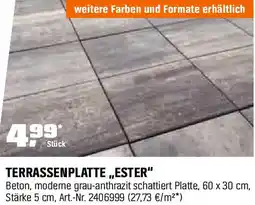 OBI Terrassenplatte ester Angebot