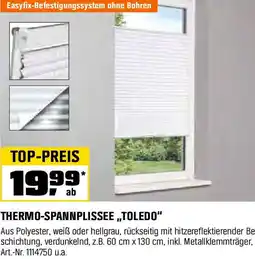 OBI Thermo spannplissee toledo Angebot