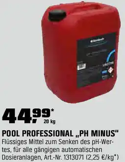 OBI Pool professional ph minus Angebot