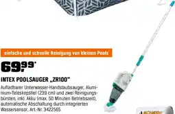 OBI Intex poolsauger zr100 Angebot