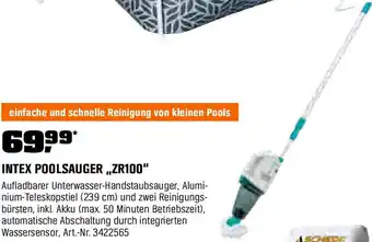 OBI Intex poolsauger zr100 Angebot
