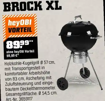 OBI Holzkohle Kugelgrill Angebot