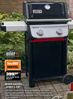 OBI Weber gasgrill spirit e-210 Angebot