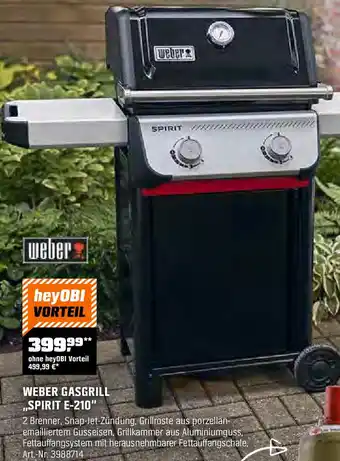 OBI Weber gasgrill spirit e-210 Angebot