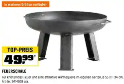 OBI Feuerschale Angebot