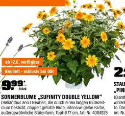 OBI Sonnenblume sufinity double yellow Angebot