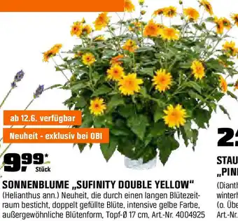 OBI Sonnenblume sufinity double yellow Angebot