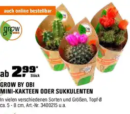 OBI Grow by obi mini-kakteen oder sukkulenten Angebot