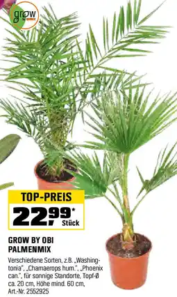 OBI Grow by obi palmenmix Angebot