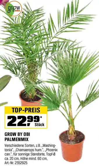 OBI Grow by obi palmenmix Angebot