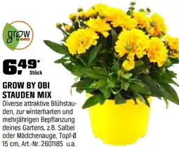 OBI Grow by obi stauden mix Angebot