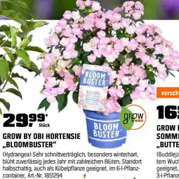 OBI Grow by obi hortensie bloombuster Angebot